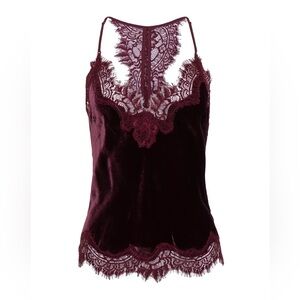 NWOT Gold Hawk Burgundy Lace Velvet Crop Camisole Witchy Gothic Slipcore